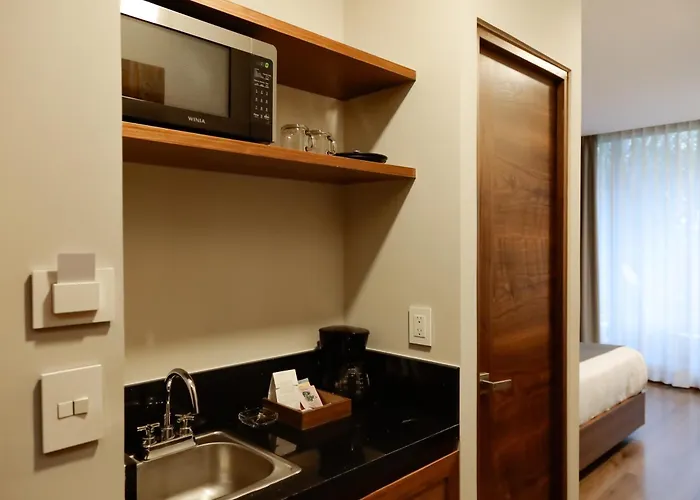Condesa Cibel Apartment Mexico City