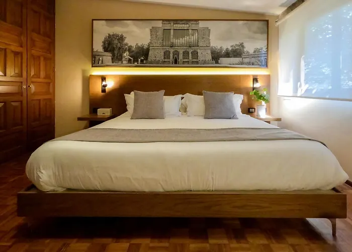 Mi Zona Lodging Coyoacan Mexico City